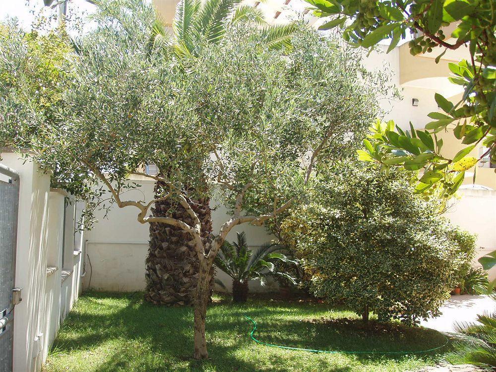 Residenza Del Sole Bed & Breakfast Surbo Exterior foto